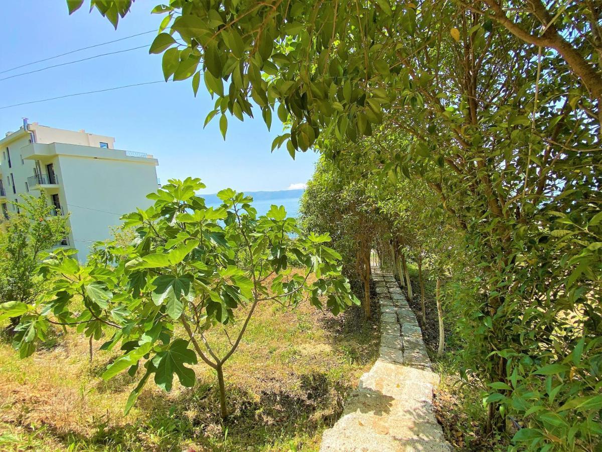 Ramo'S Cozy Beachside Haven With Panoramic Views - 1St Villa Vlorë Buitenkant foto